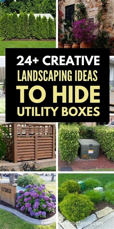 best shrubs to cover electrical boxes|best shrubs for hiding boxes.